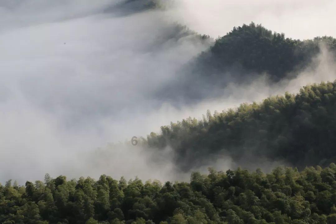 成长家园